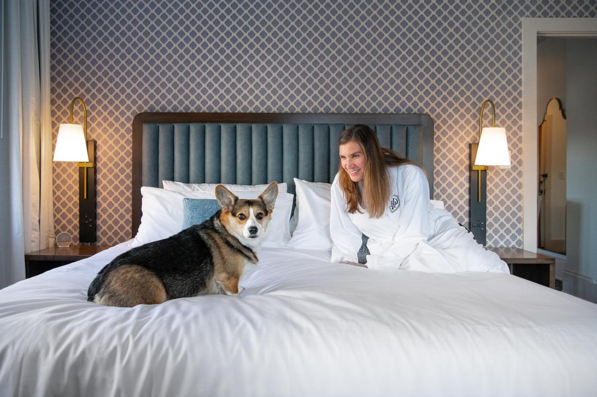 Hotel Petersburg, Tapestry Collection By Hilton 외부 사진